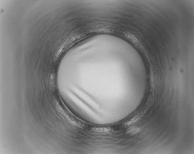 X0000054450449200508270043