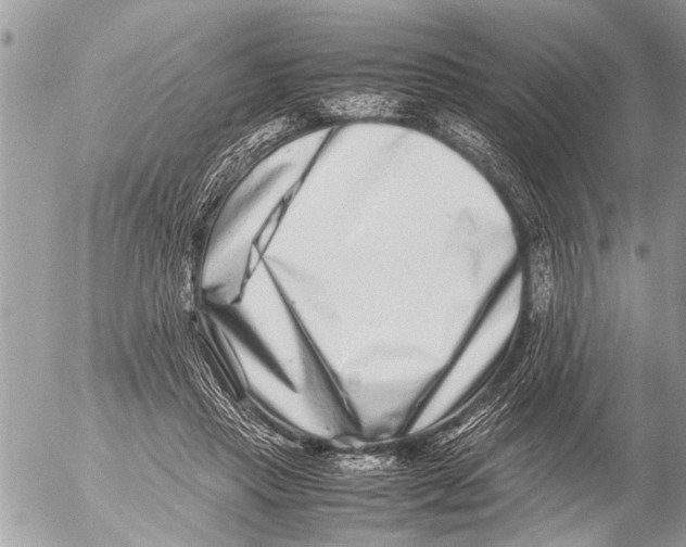 X0000054450453200508270043