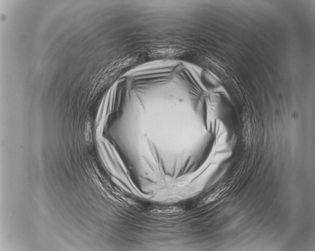 X0000054450459200508270043