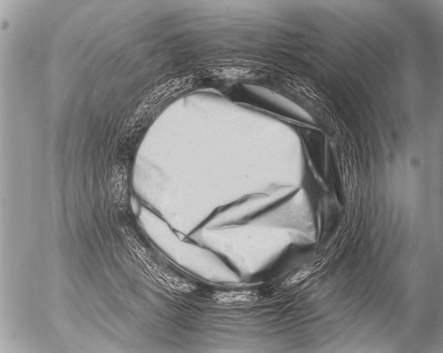 X0000054450461200508270043