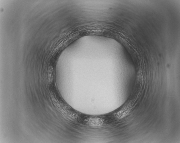 X0000054450464200508270043