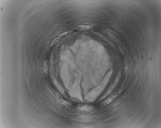 X0000054450467200508270043