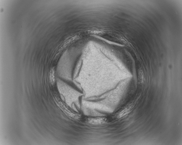 X0000054450479200508270043