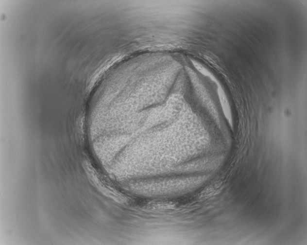 X0000054450491200508270042