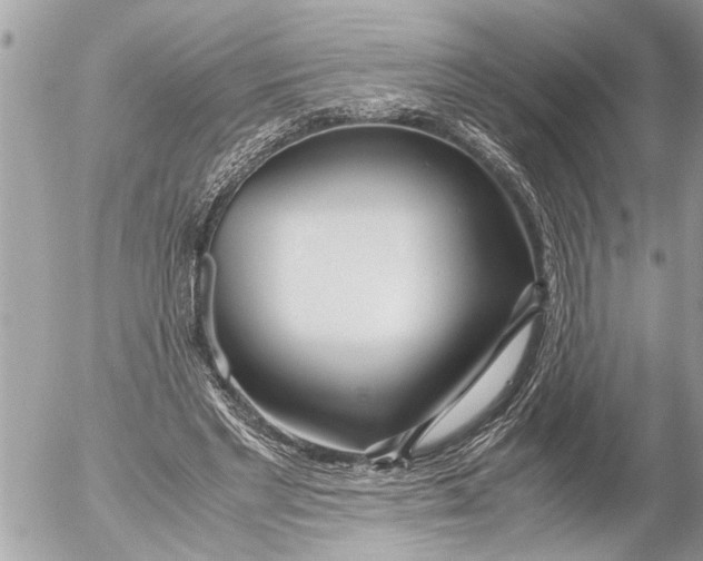 X0000054450493200508270042