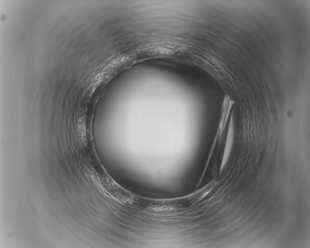 X0000054450500200508270042