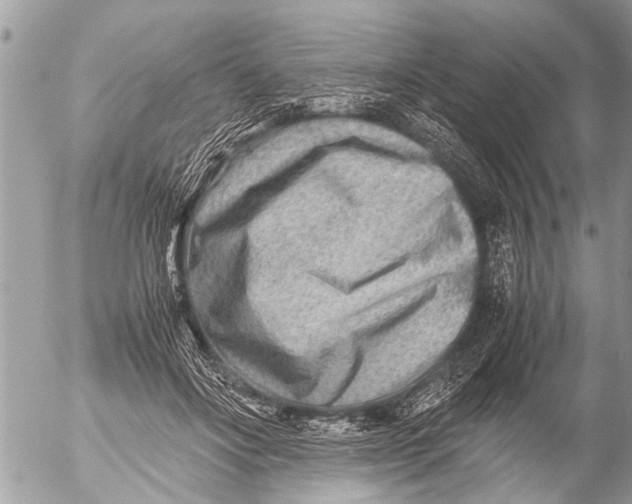 X0000054450502200508270042