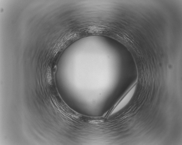 X0000054450508200508270042
