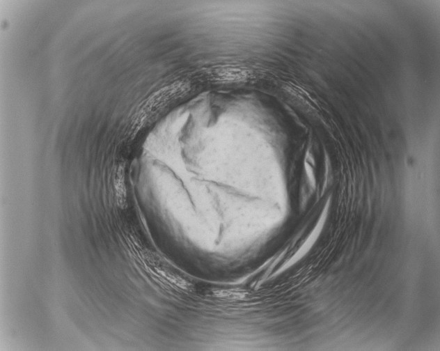 X0000054450516200508270042