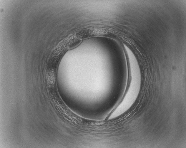 X0000054450517200508270042