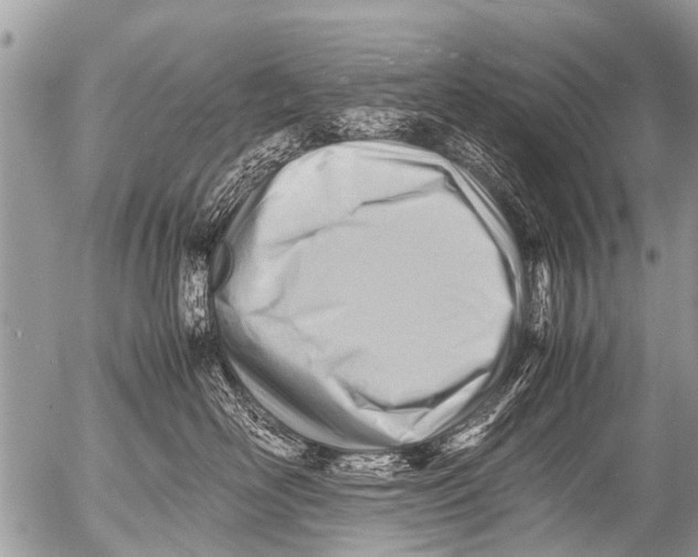 X0000054450526200508270042