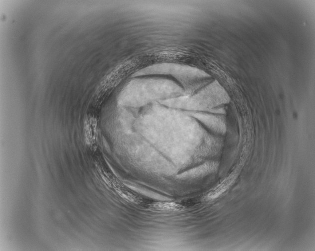 X0000054450528200508270042