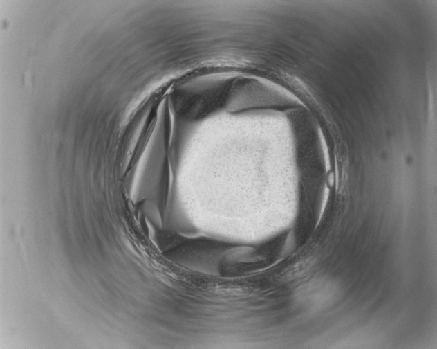 X0000054450531200508270041
