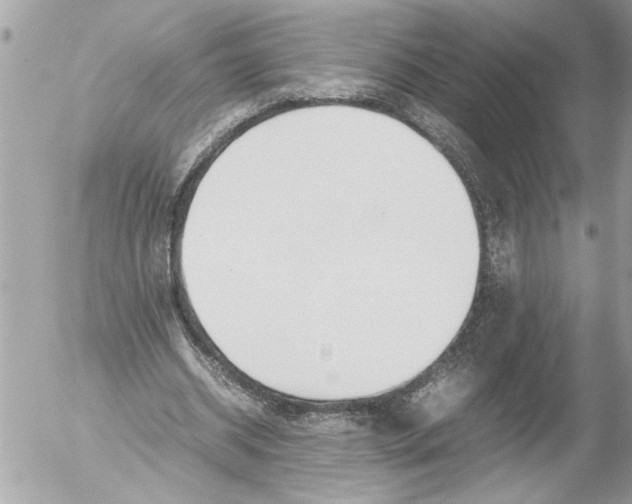 X0000054450534200508270041