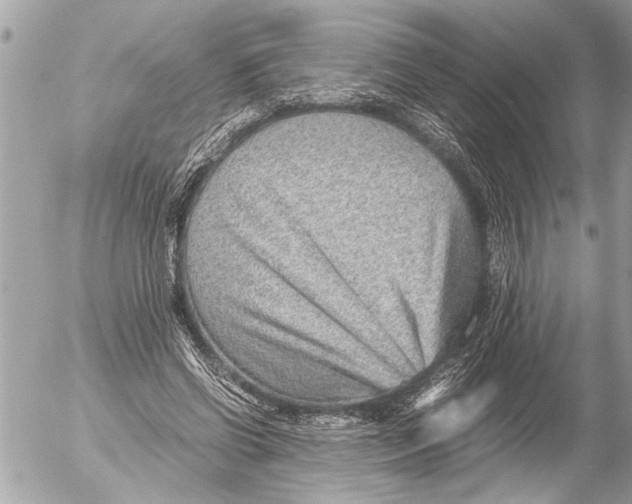 X0000054450542200508270041