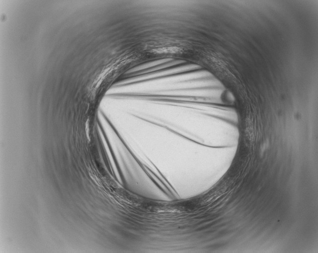 X0000054450547200508270041