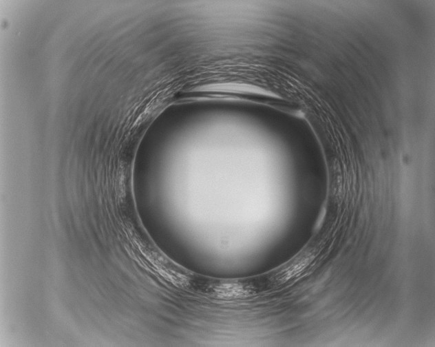 X0000054450562200508270041