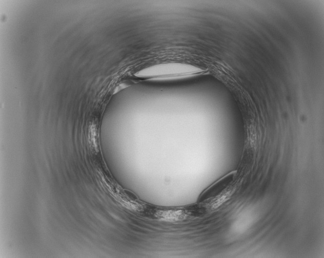 X0000054450575200508270042
