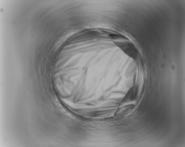 X0000054450577200508270041