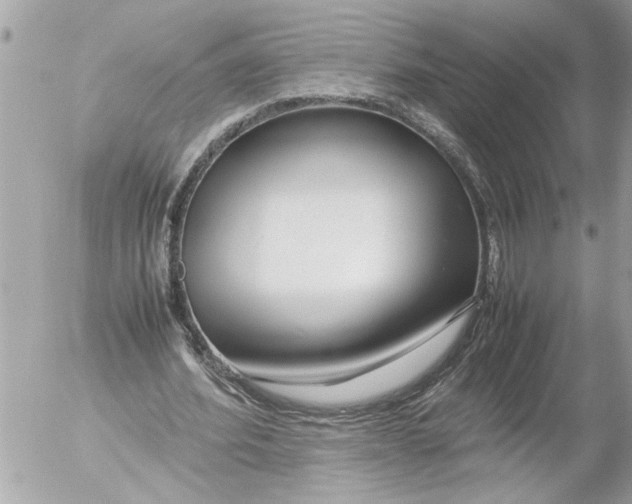 X0000054450580200508270041