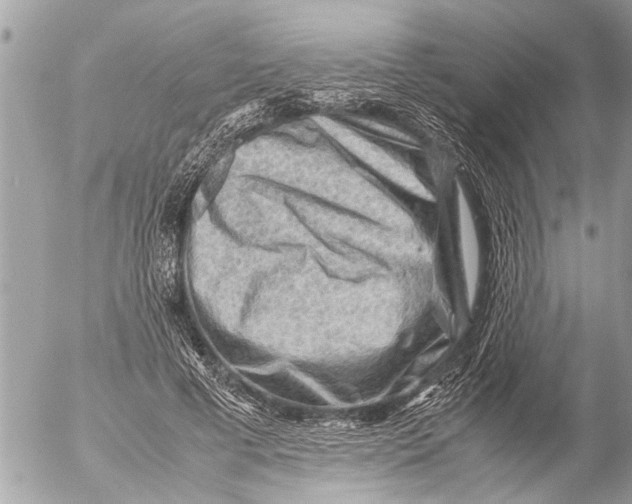 X0000054450593200508270041