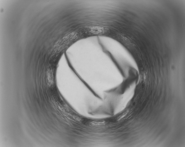 X0000054450606200508270040