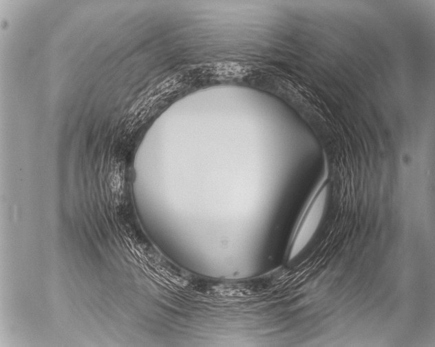X0000054450608200508270040