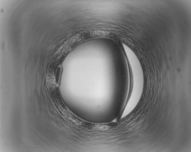 X0000054450617200508270040