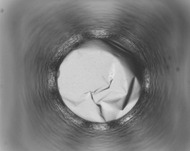 X0000054450618200508270040