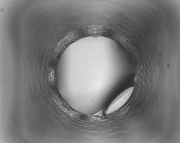 X0000054450623200508270040