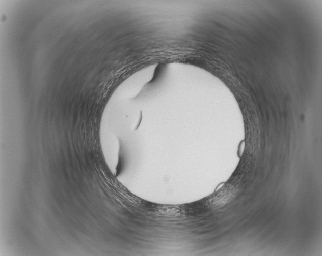 X0000054450624200508270040