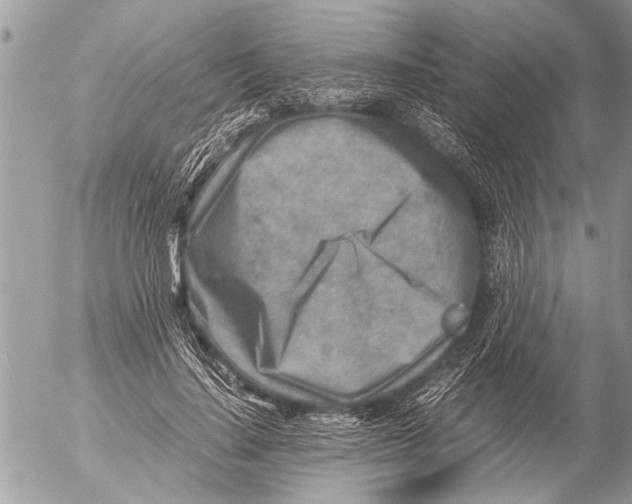 X0000054450644200508270040