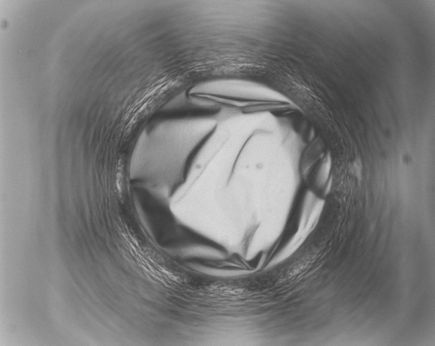 X0000054450648200508270040