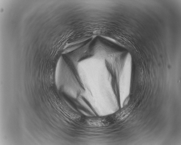 X0000054450661200508270040