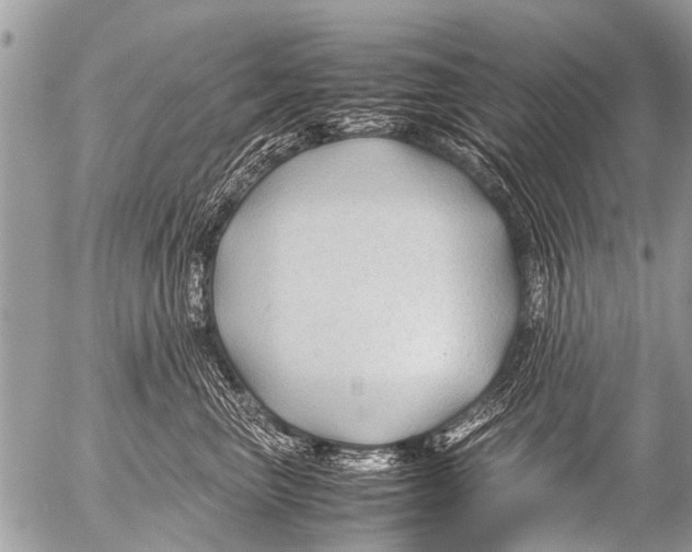X0000054450667200508270040
