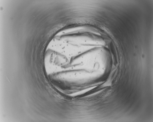 X0000054450673200508270039