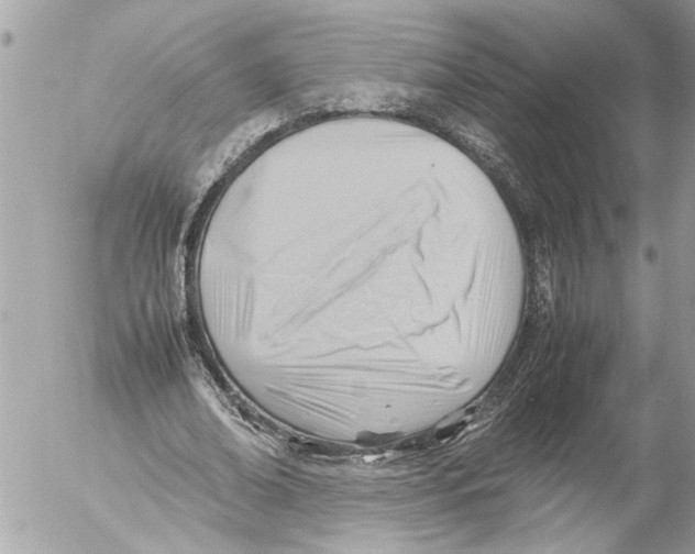 X0000054450678200508270039
