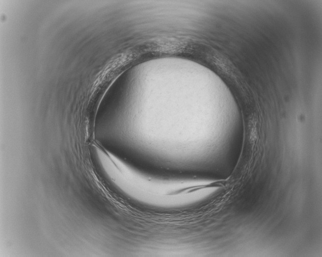 X0000054450685200508270039