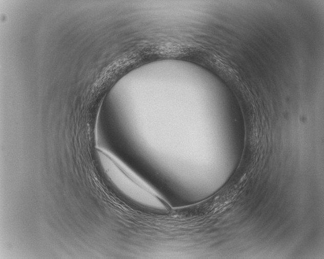 X0000054450689200508270039