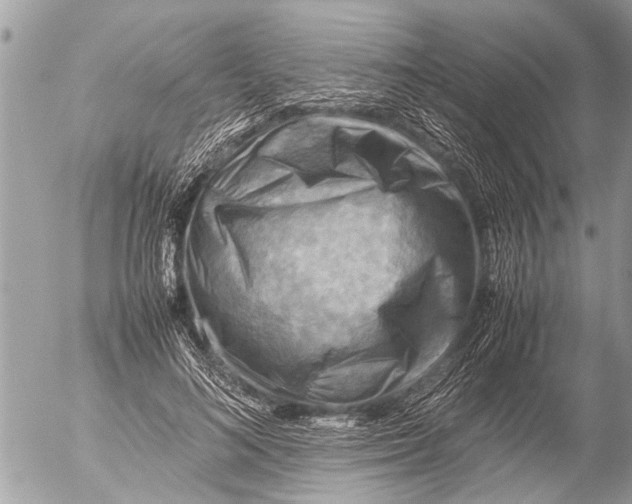 X0000054450692200508270039