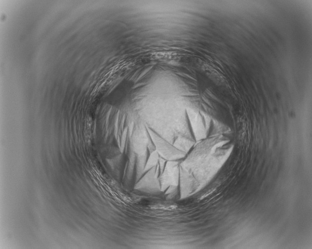 X0000054450712200508270039