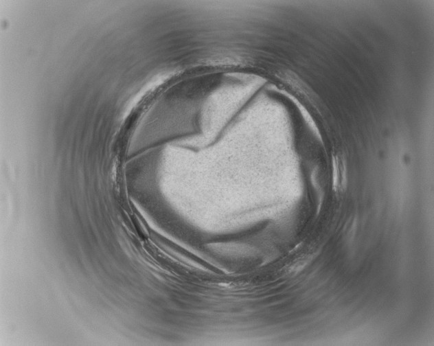 X0000054450723200508270038