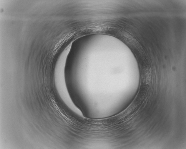 X0000054450740200508270038
