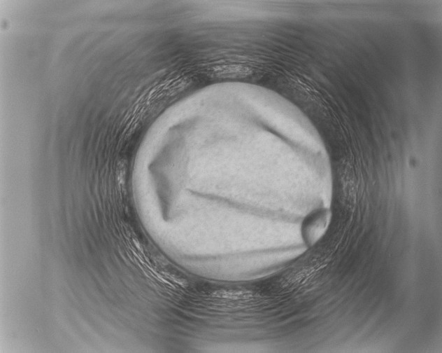 X0000054450745200508270038