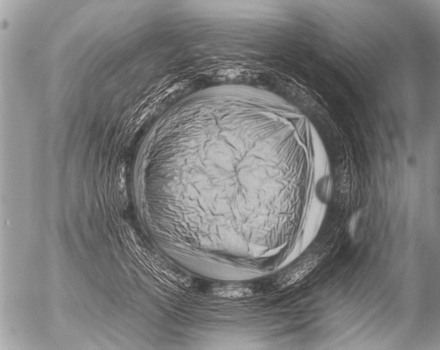 X0000054450754200508270038