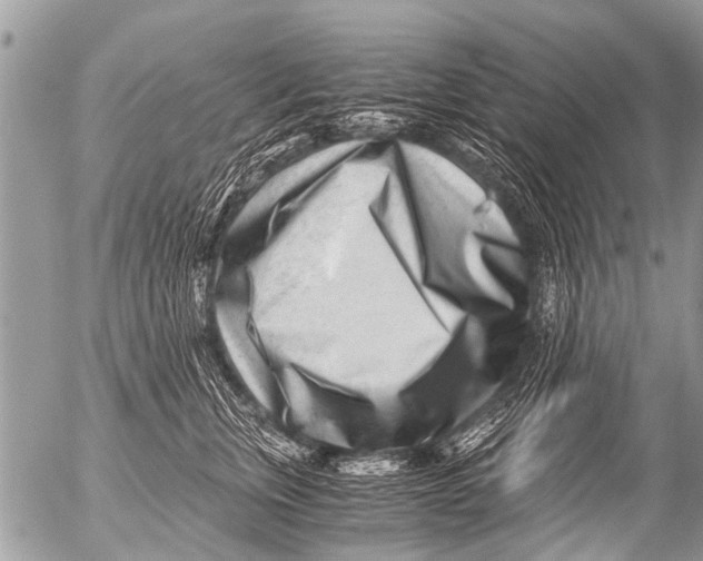 X0000054450759200508270038