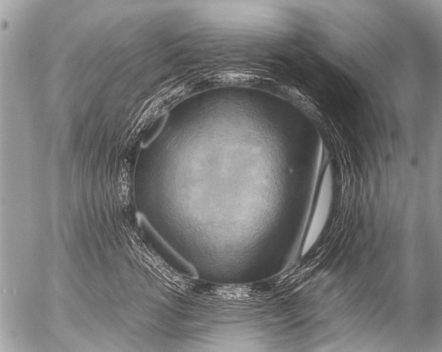 X0000054450762200508270038