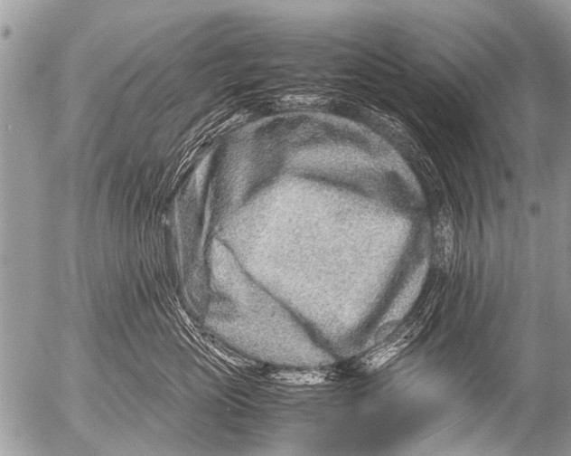 X0000054450765200508270038