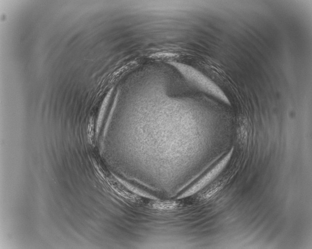 X0000054450767200508270038