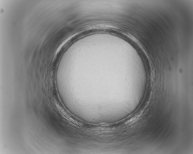 X0000054450783200508270037